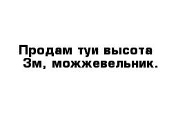 Продам туи высота - 3м, можжевельник.